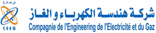 Compagnie de l'Engineering de l'Electricité et du Gaz